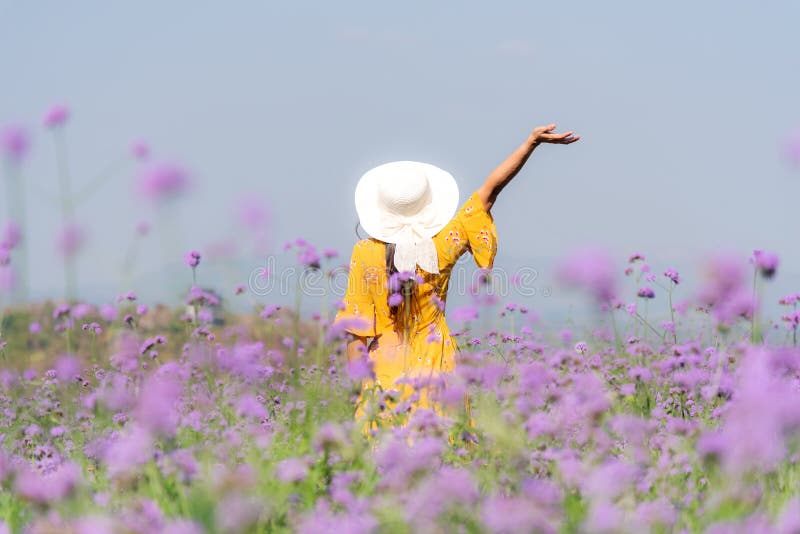 Reisende oder Touristen Asiatische Frauen stehen und kühlen im lila verbena Blumenfeld in Ferien Zeit Freiheit und Freiheit der M