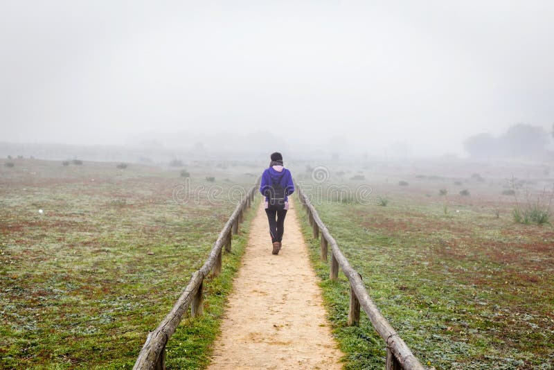 Reisendfrau, die allein auf ein Feld umgeben durch Nebel geht Allein Frau von der Rückseite gehend durch den Nebel im Wald lizenzfreie stockfotografie Reisendfrau, die allein auf ein Feld umgeben durch Nebel geht Allein Frau von der Rückseite gehend durch den Nebel im Wald lizenzfreie stockfotografie