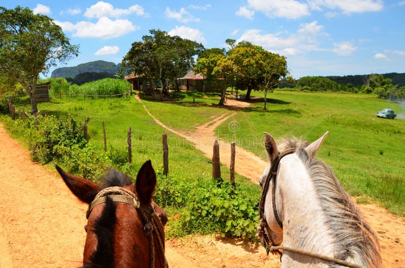 Horseriding in Vinales, National Park, Cuba. Horseriding in Vinales, National Park, Cuba