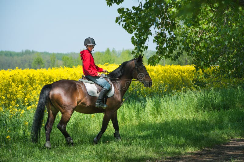 Reitenes Mädchen zu Pferd lizenzfreies stockbild Reitenes Mädchen zu Pferd lizenzfreies stockbild