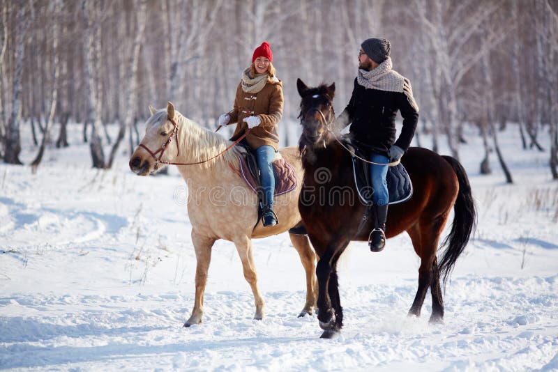 Reiter auf einem Pferd stockfoto. Bild von pferdeartig - 62131914