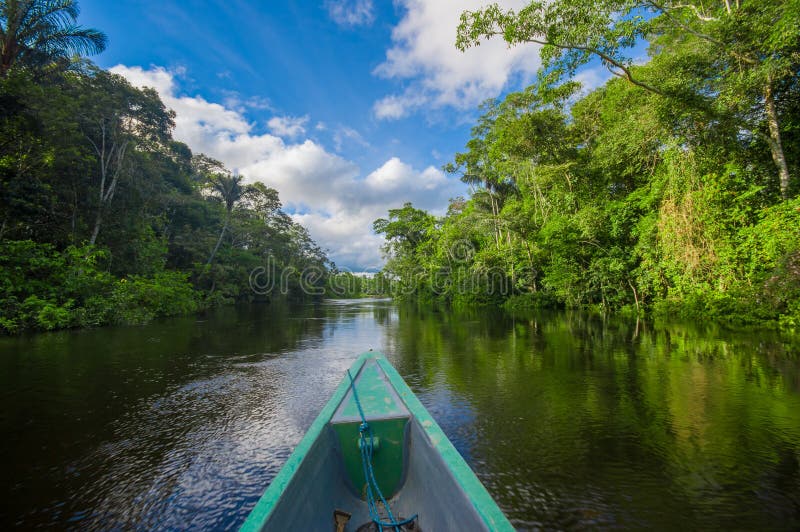 Reizend door boot in de diepte van de Wildernissen van Amazonië in het Nationale Park van Cuyabeno, Ecuador royalty-vrije stock afbeelding Reizend door boot in de diepte van de Wildernissen van Amazonië in het Nationale Park van Cuyabeno, Ecuador royalty-vrije stock afbeelding