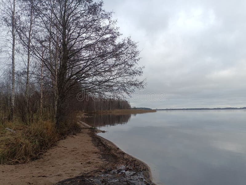 Rekyva-skog och insjö under grumlig höstdag arkivbild