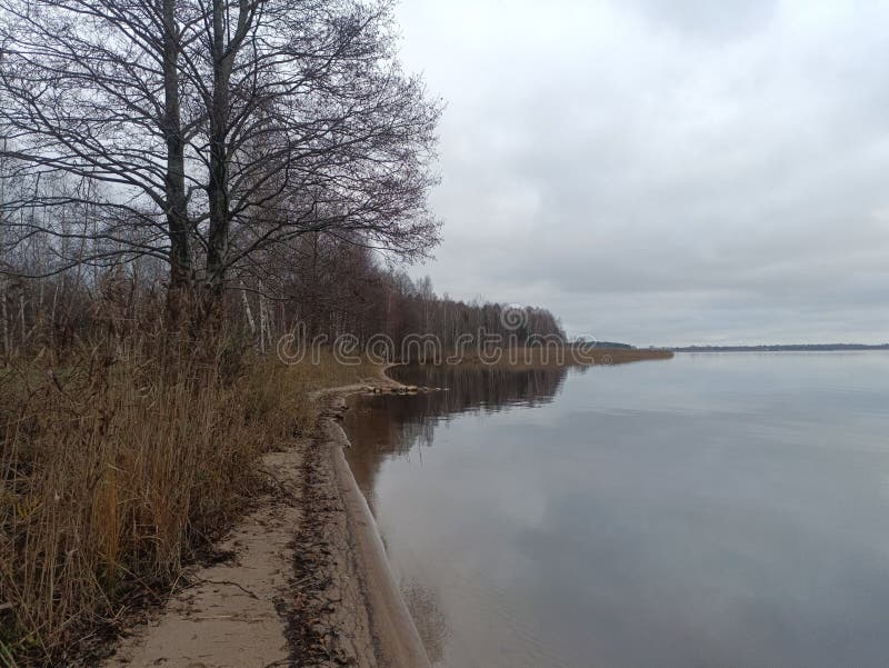 Rekyva-skog och insjö under grumlig höstdag royaltyfri bild