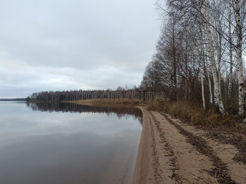 Rekyva-skog och insjö under grumlig höstdag arkivfoton