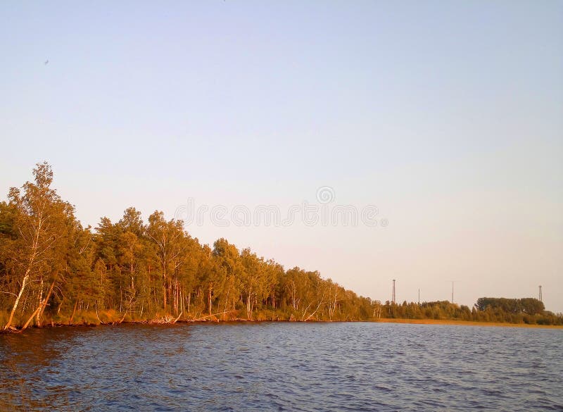 Rekyva-skog och sjö direkt före solnedgång arkivfoto