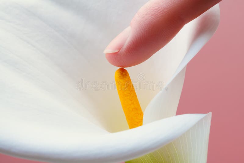 reserva Semejanza Aturdir Relaciones Sexuales Con Flores Y Masturbación Con El Dedo Foto de archivo -  Imagen de flor, embrome: 209242600