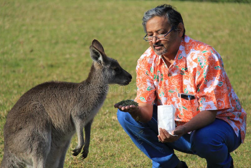 Relación del humanidad y animal del reino Relación del humanidad y animal del reino