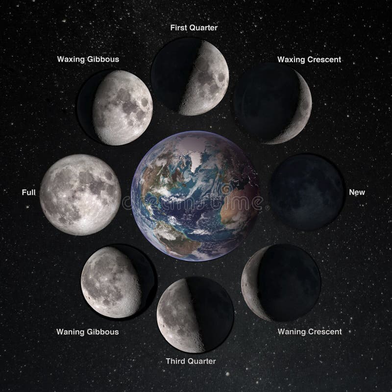 Relation Movements of the Moon 8 Lunar Phases Revolution Around Earth ...