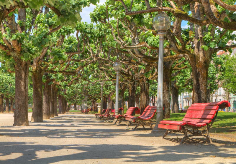 Relax on apark bench