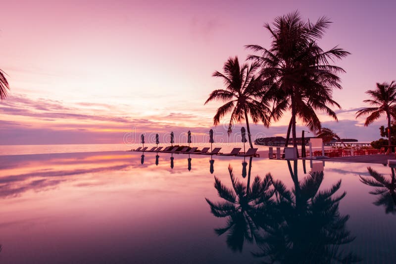 Relax in luxurious beachfront hotel resort in sunset light beach holiday vacation, Loungers palm tree infinity pool reflections