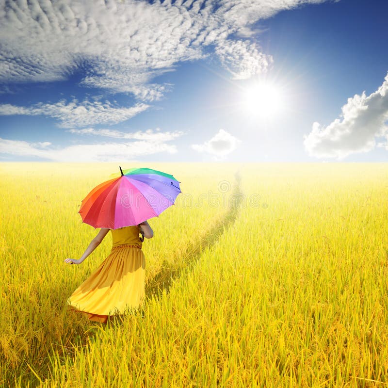 Relax woman holding multicolored umbrella in Yellow rice field and cloud sky