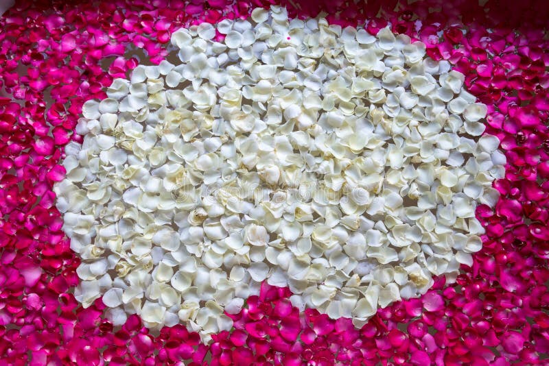 A Relaxing Bath with Rose. Bath Tub with Floating Petals. Rose Petals Put  in Bathtub for Romantic Bathroom in Honeymoon Suit Stock Image - Image of  beautiful, happy: 138776723