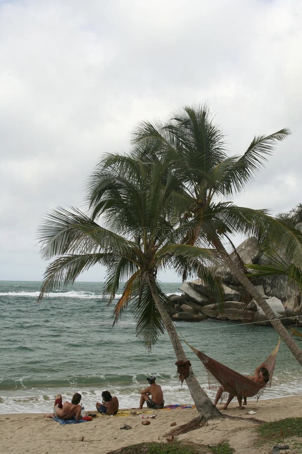 Relaxing at the beach. Hammock