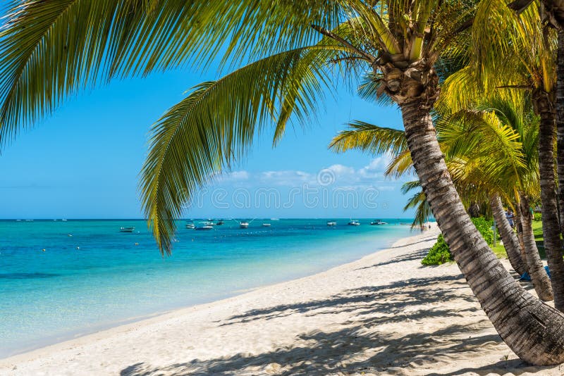 Relaxing holidays in tropical paradise. Mauritius island. royalty free stock photos Relaxing holidays in tropical paradise. Mauritius island. royalty free stock photos