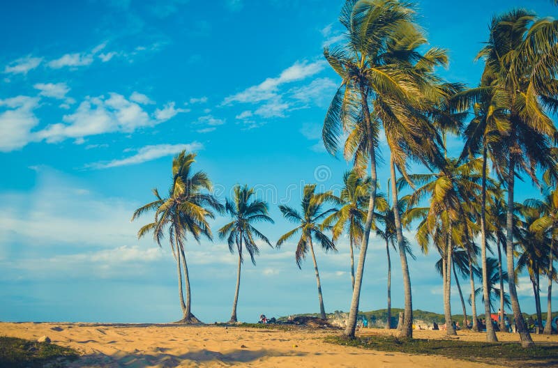 Relaxing on remote Tropical Paradise beach in