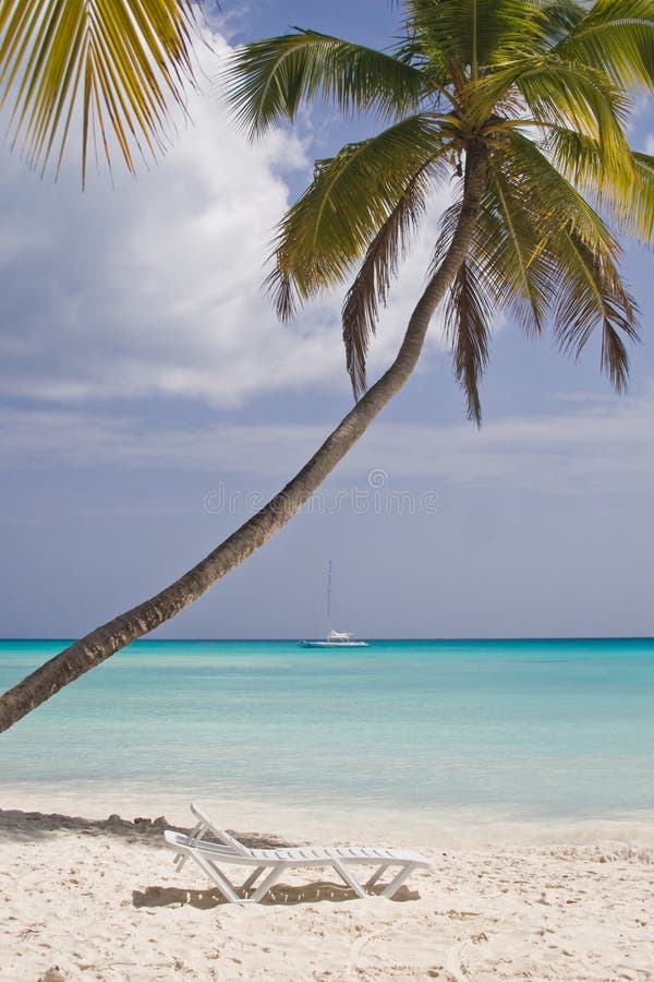 Relaxing tropical beach