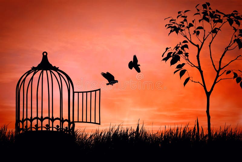 Birds couple escaping from the cage. Freedom concept. Released to nature. Birds couple escaping from the cage. Freedom concept. Released to nature
