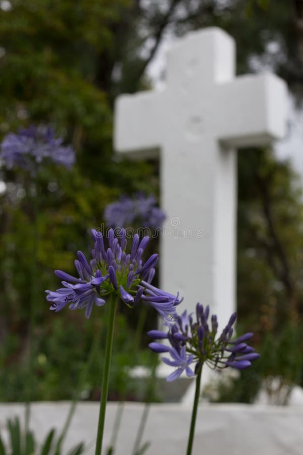 Religious Cross with Flowers Stock Image Image of catholic, pray