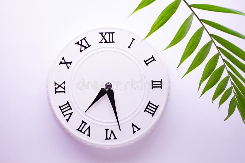 Reloj blanco hermoso con las hojas de la palma tropical El concepto de tiempo im?genes de la decoraci?n del d?a de fiesta fotografía de archivo Reloj blanco hermoso con las hojas de la palma tropical El concepto de tiempo im?genes de la decoraci?n del d?a de fiesta fotografía de archivo