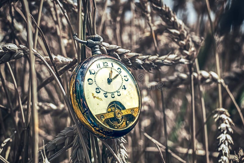 Reloj de bolsillo antiguo roto en campo de trigo imagen de archivo libre de regalías Reloj de bolsillo antiguo roto en campo de trigo imagen de archivo libre de regalías