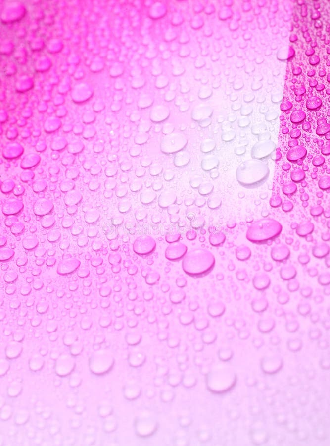 Tiny water drops on pink background. Tiny water drops on pink background