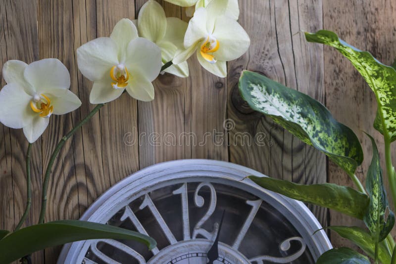 Relógio de vintage com flores de quarto sobre fundo de madeira. fotos de stock royalty free