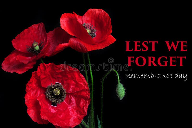 Remembrance Day Canada