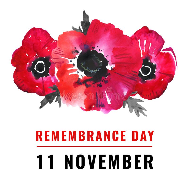 Remembrance day illustration. Poppy flowers and title 11 November. Hand drawn watercolor sketch vector illustration Remembrance day illustration. Poppy flowers and title 11 November. Hand drawn watercolor sketch vector illustration