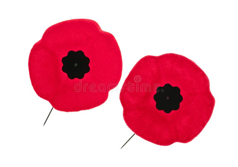 Veterans day poppy usa