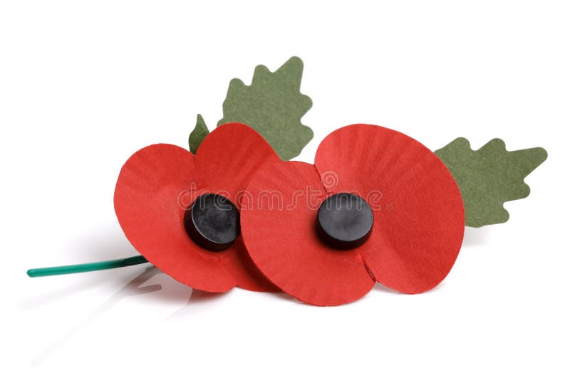 Remembrance sunday poppy royalty free stock image Remembrance sunday poppy royalty free stock image