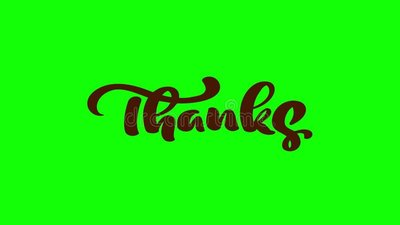 Remerciements tirés par la main des textes de gravure de calligraphie d'animation. Script moderne avec la citation de thanksgiving illustration stock