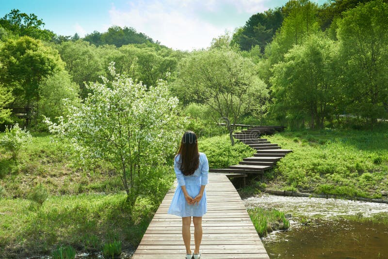 In a national park full of various plants and trees, a woman in a blue skirt is standing on a wooden bridge that goes over a pond with her hand held back lightly. She looks towards the sky and the wooden steps that lies in front of her reminiscing her memories of the past. In a national park full of various plants and trees, a woman in a blue skirt is standing on a wooden bridge that goes over a pond with her hand held back lightly. She looks towards the sky and the wooden steps that lies in front of her reminiscing her memories of the past.