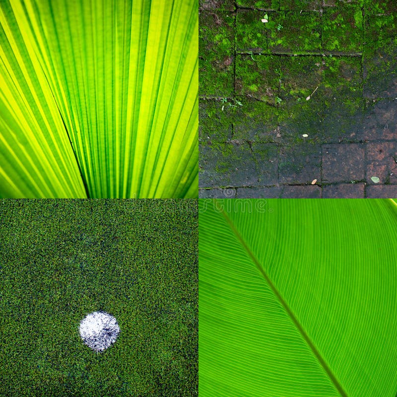 Fundo de textura ecológica verde remix foto de stock royalty free