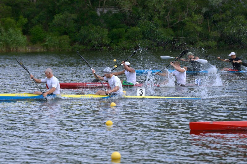 Remo fotos de stock royalty free