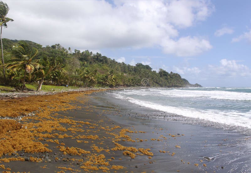 Remote Black Sand Beach Dominica Caribbean Islands Stock Image Image Of Ocean Remote 39538775