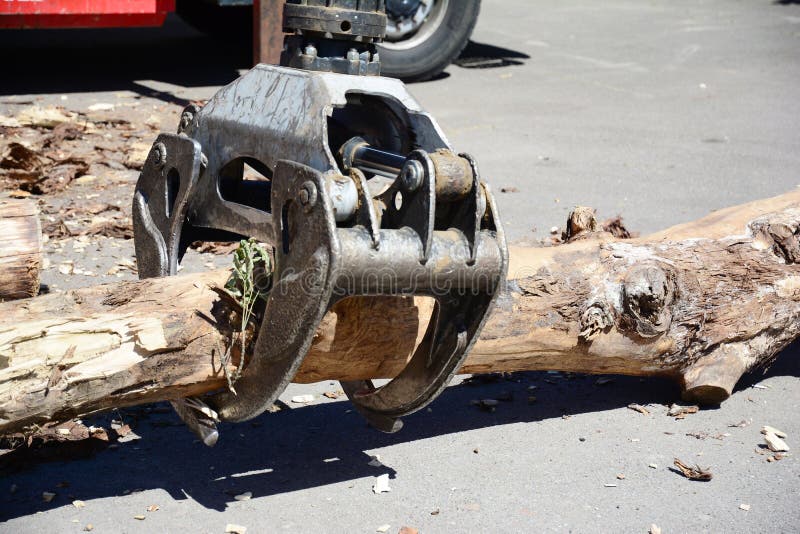 Remove fallender Baum nach hartem Sturm von der Asphaltstraße Harveste lizenzfreie stockfotografie Remove fallender Baum nach hartem Sturm von der Asphaltstraße Harveste lizenzfreie stockfotografie