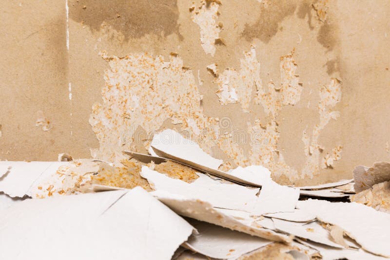 Remove an Old Wallpaper from the Wall Stock Image Image of dirty