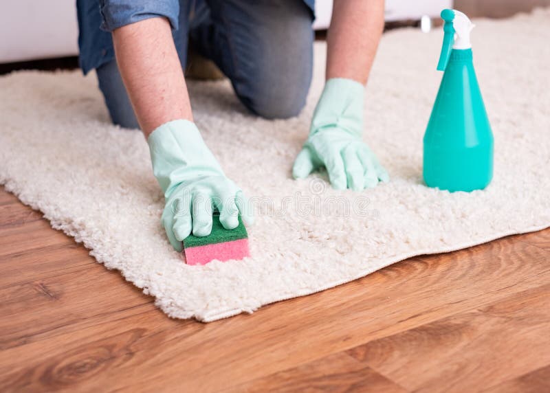 Cleaning carpet stains using sponge and spot remover. Cleaning carpet stains using sponge and spot remover
