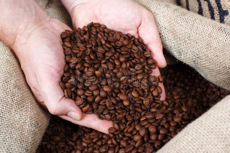 Hand Removing Roasted Coffee Beans Stock Photo Image of cafe, dark 31200032