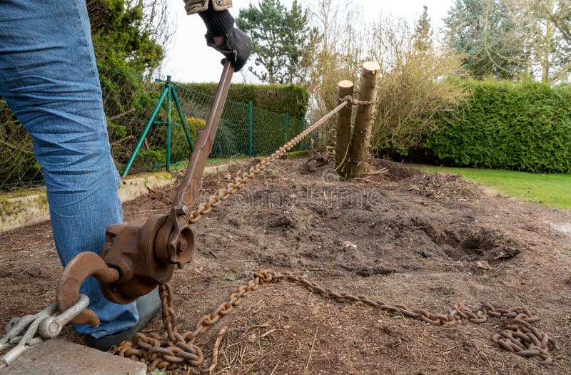 Removing a tree stump with a hoist in the garden