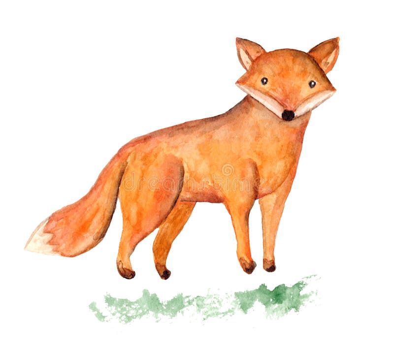 Renard orange d'aquarelle mignonne sur l'illustration d'herbe illustration libre de droits Renard orange d'aquarelle mignonne sur l'illustration d'herbe illustration libre de droits
