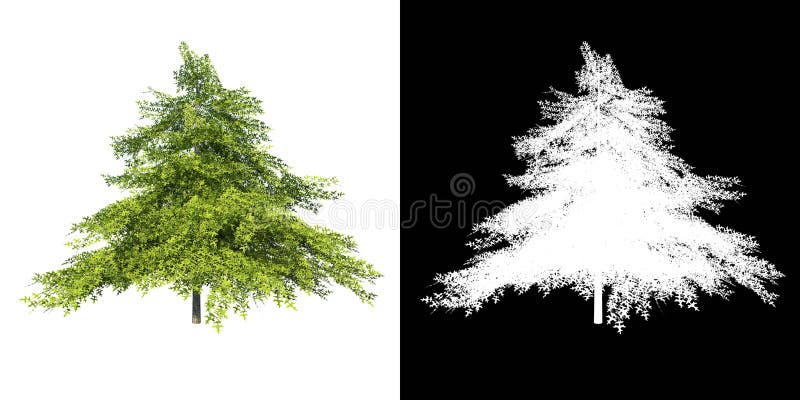 Render of plant on white background with alpha for cutout png. Render of plant on white background with alpha for cutout png