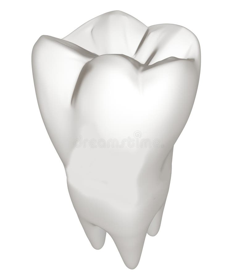 Tooth. 3d illustration vector illustration