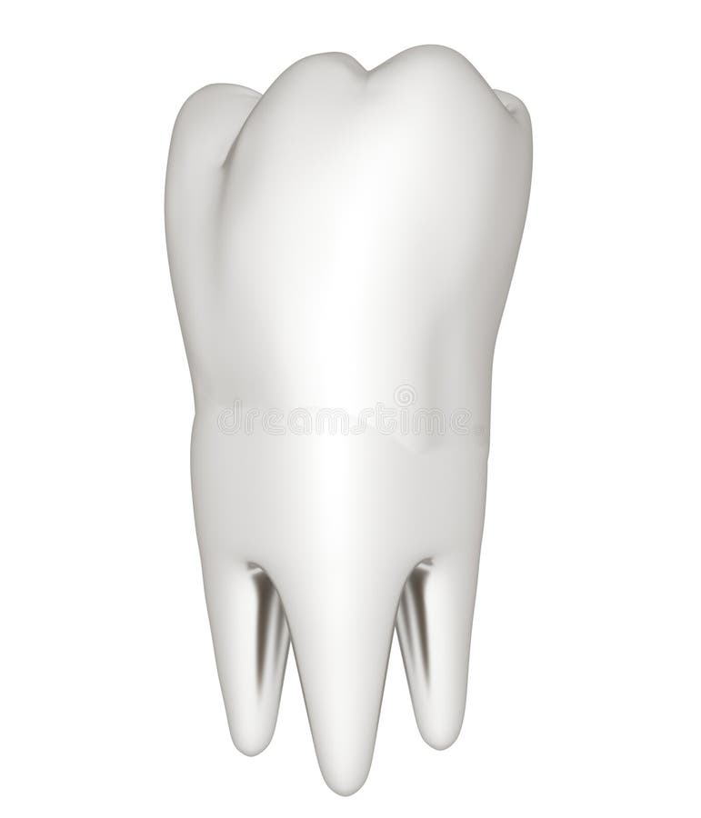 Tooth. 3d illustration vector illustration