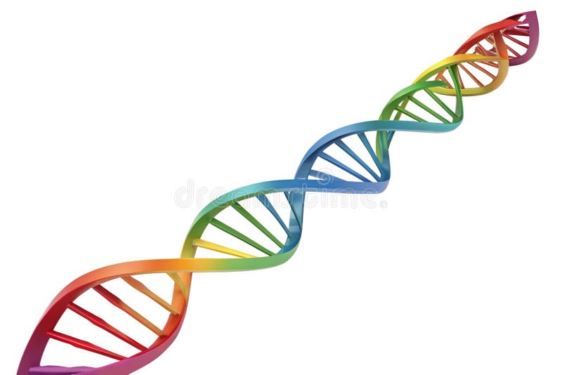 Rendering 3d della sfumatura di colore arcobaleno a doppia elica stilizzata dna isolata su sfondo trasparente generato da ai illustrazione vettoriale