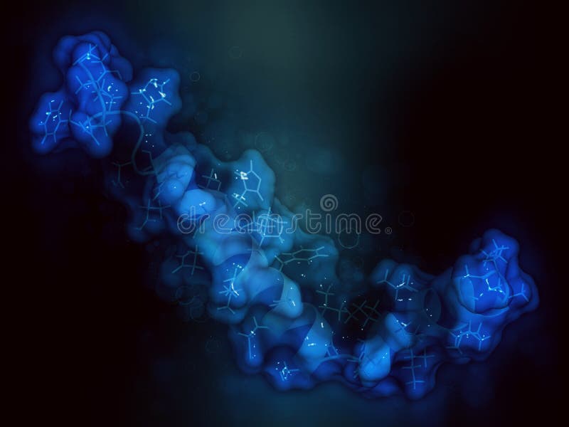 Beta-amyloid (Abeta) peptide, 3D rendering. Major component of plaques found in Alzheimer\'s disease..Stick representation combined with semi-transparent molecular surface. Beta-amyloid (Abeta) peptide, 3D rendering. Major component of plaques found in Alzheimer\'s disease..Stick representation combined with semi-transparent molecular surface