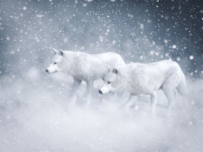 3D rendering of two majestic white wolfs surrounded by magical snow. 3D rendering of two majestic white wolfs surrounded by magical snow