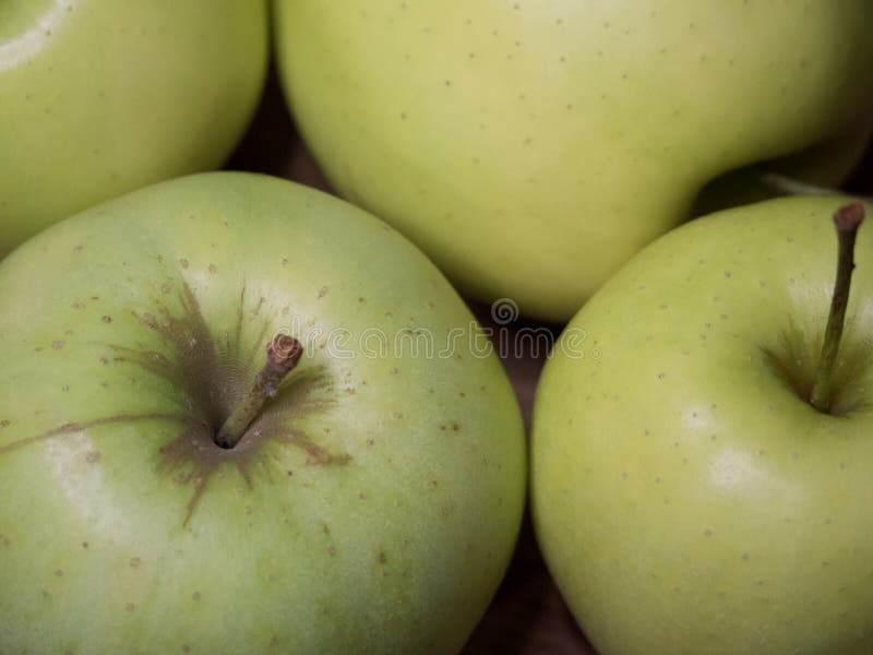 Renet simirenko green apples, top view, close-up. Macro shot of fruit stock images