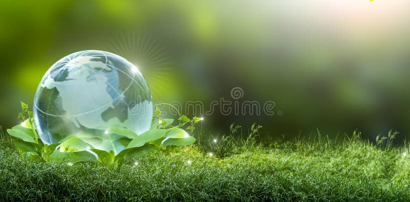 Renewable energy concept Earth Day or environment protection Hands protect forests that grow on the ground and help save the world